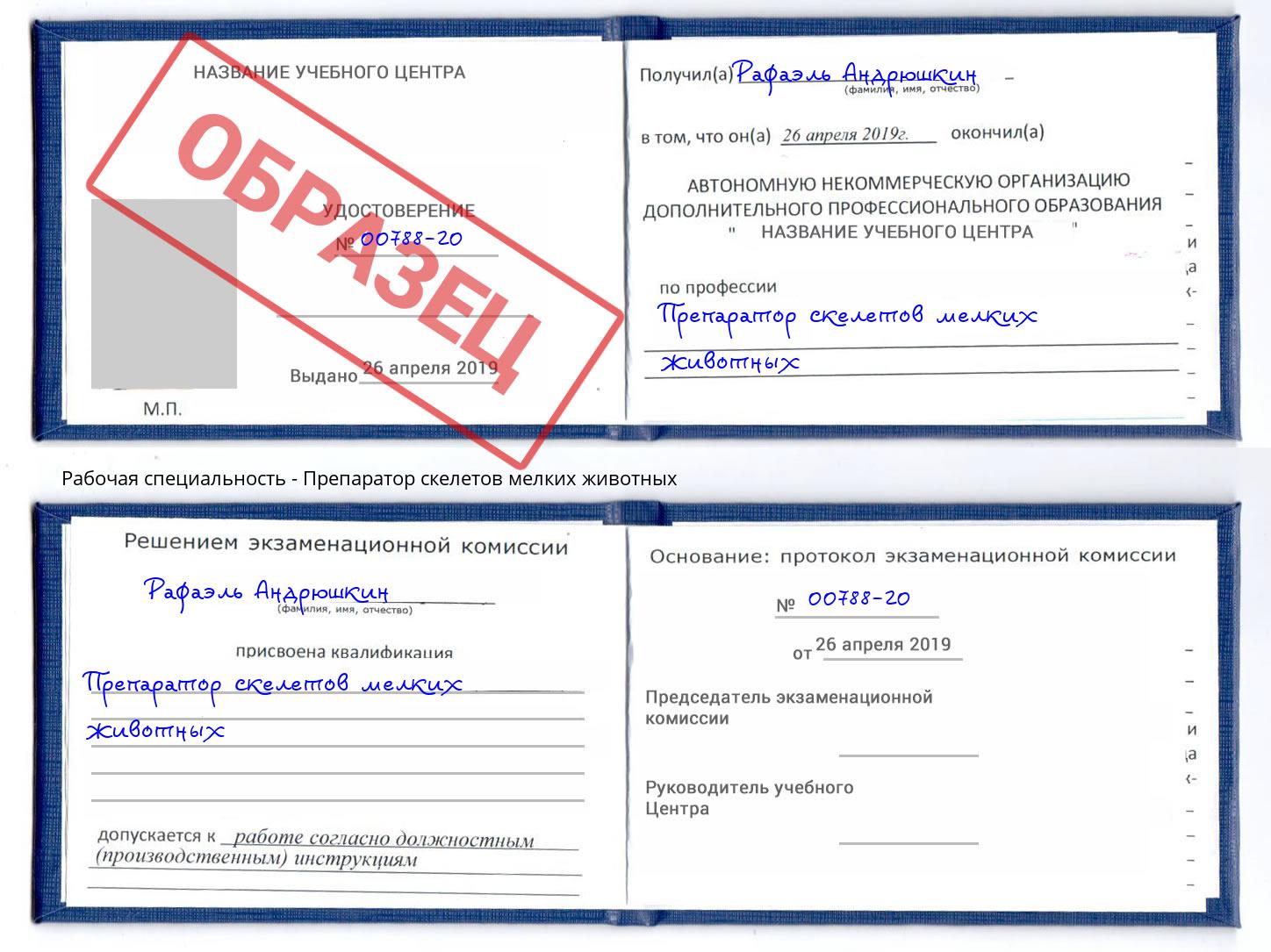 Препаратор скелетов мелких животных Ростов-на-Дону