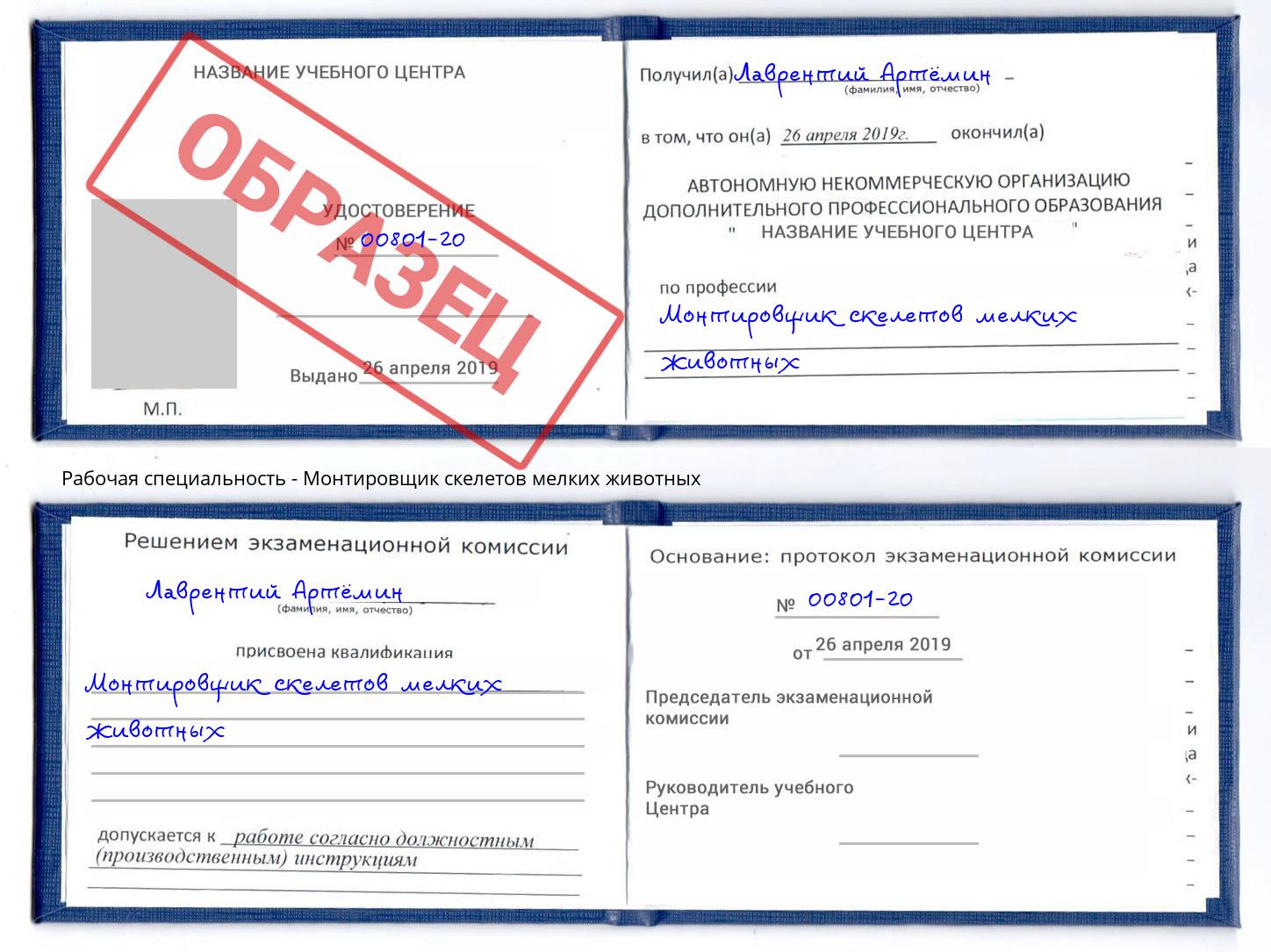 Монтировщик скелетов мелких животных Ростов-на-Дону