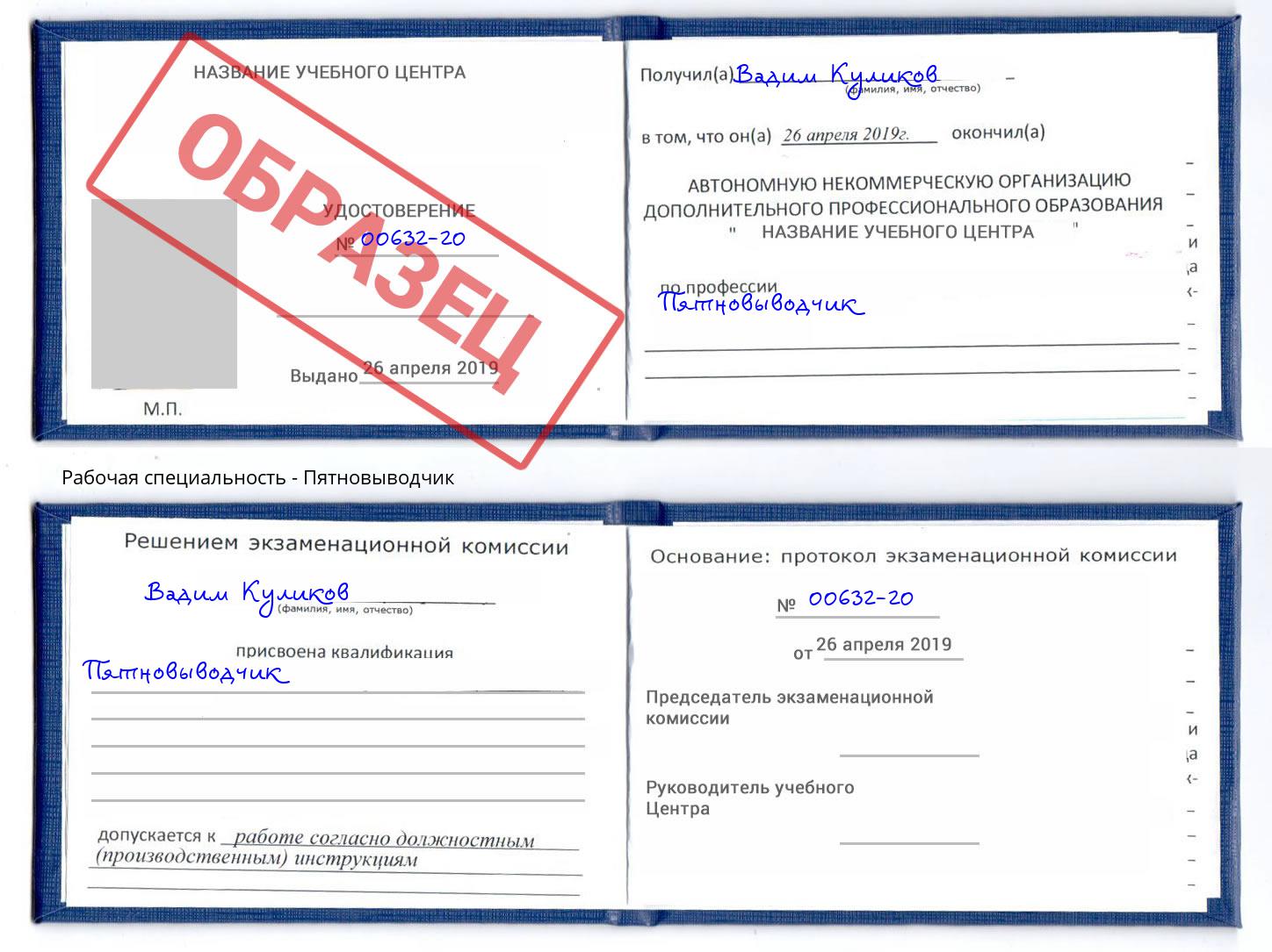 Пятновыводчик Ростов-на-Дону