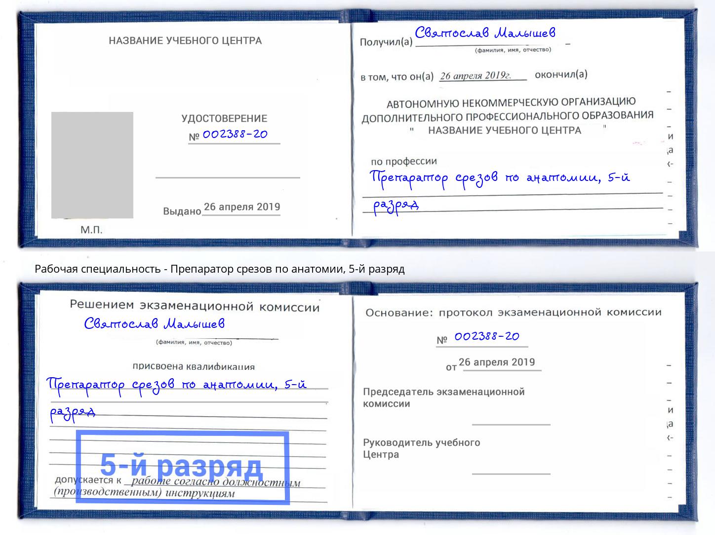 корочка 5-й разряд Препаратор срезов по анатомии Ростов-на-Дону