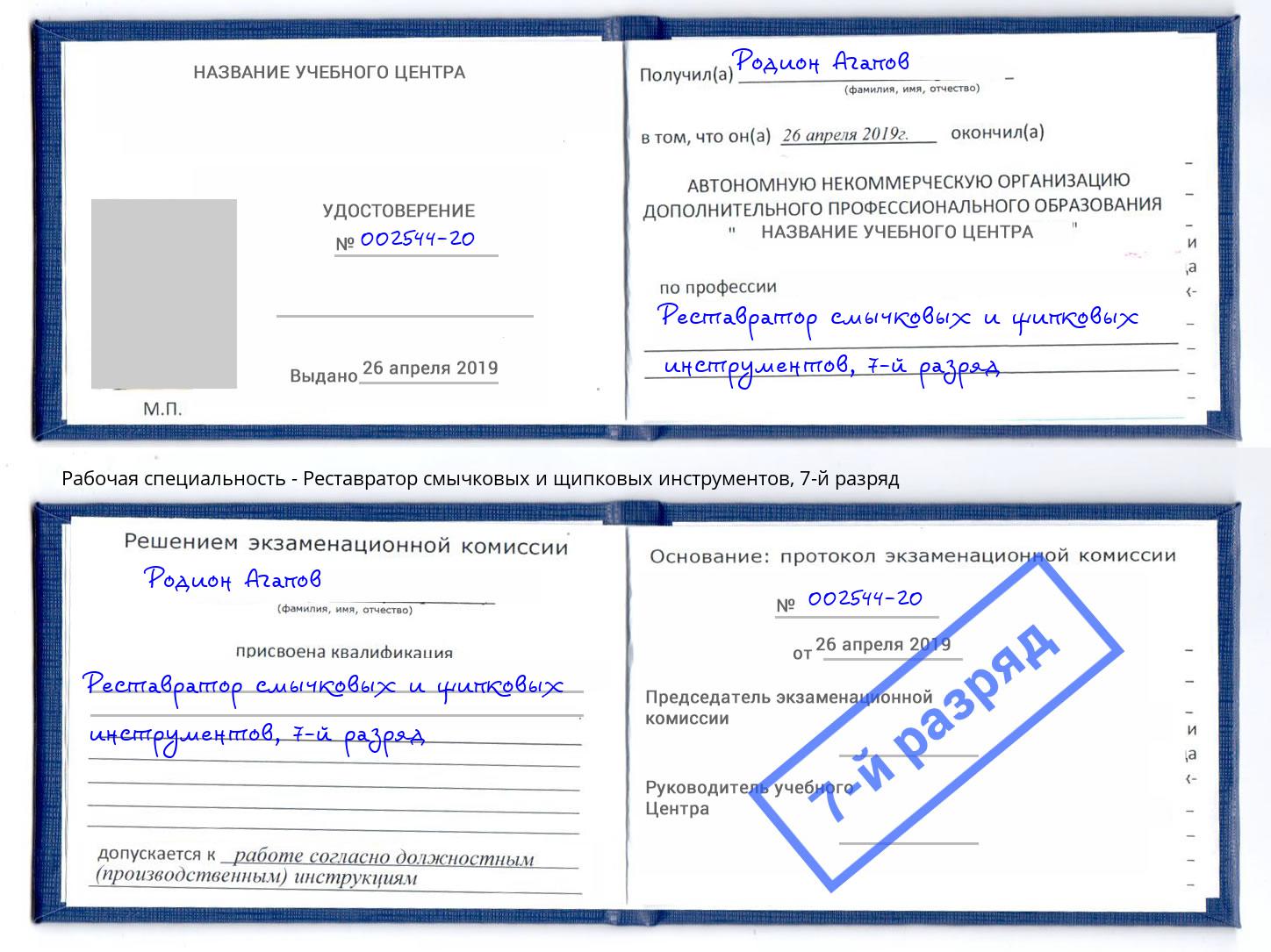 корочка 7-й разряд Реставратор смычковых и щипковых инструментов Ростов-на-Дону