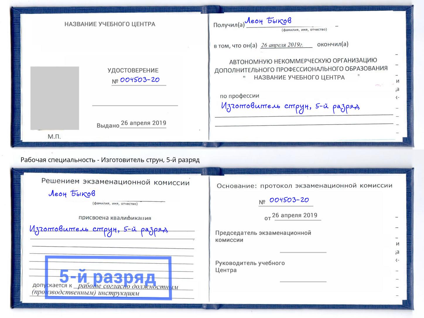 корочка 5-й разряд Изготовитель струн Ростов-на-Дону